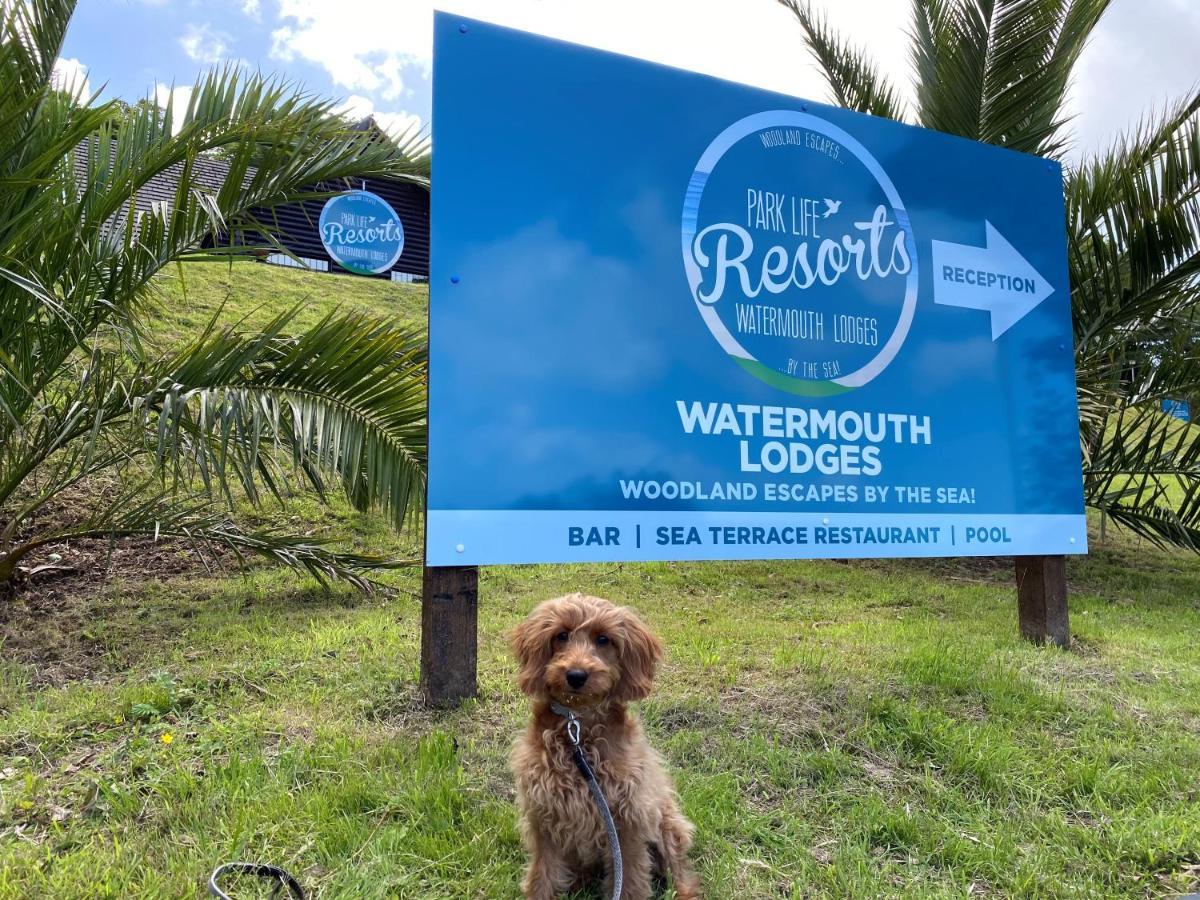 Watermouth Lodges إلفراكومبْ المظهر الخارجي الصورة